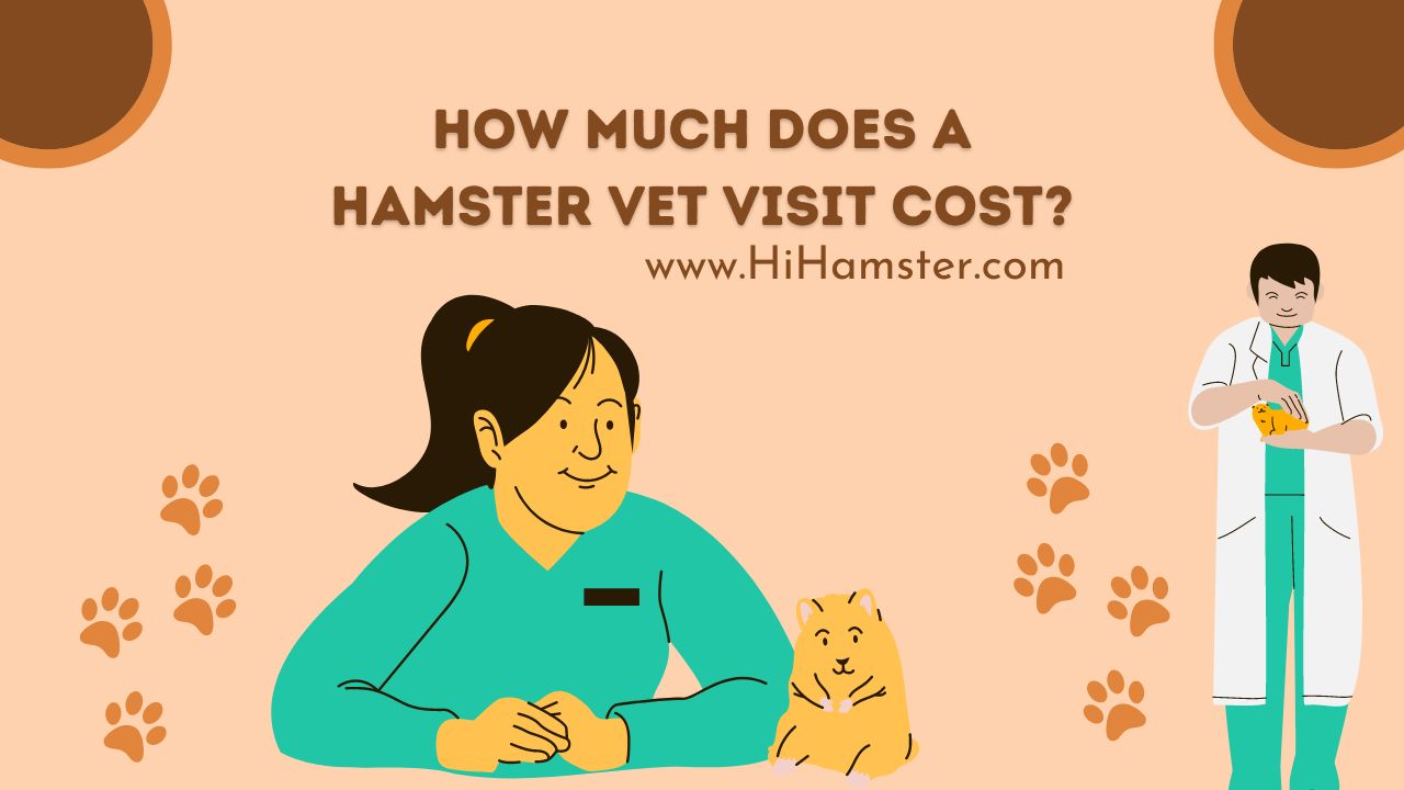 How Much Does a Hamster Vet Visit Cost