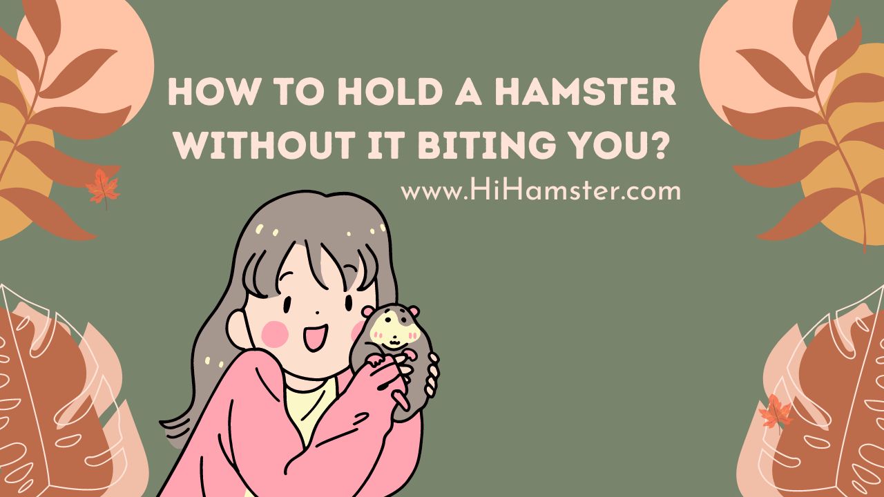 How to Hold a Hamster Without It Biting You?