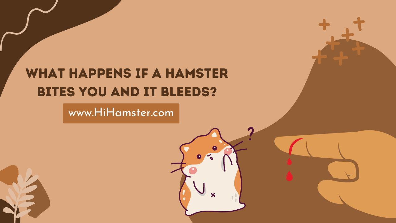 What Happens if a Hamster Bites You and It Bleeds