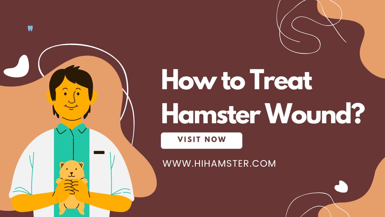 How to Treat Hamster Wound